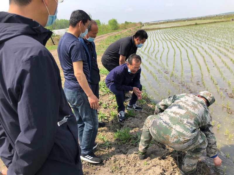 https://news.tsinghua.edu.cn/__local/E/80/2A/7350A150E3BD4E31ED767B03837_C53F6A34_FD6F.jpeg